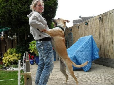 IMG_9709.jpeg IMG_9709.jpeg