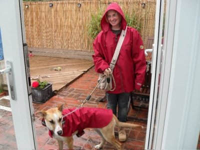 IMG_9710.jpeg IMG_9710.jpeg