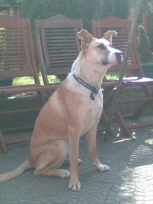 IMG_9708.jpeg IMG_9708.jpeg