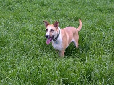 IMG_9704.jpeg IMG_9704.jpeg