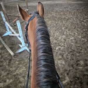 Screenshot_20250225_065833_Instagram.jpg Screenshot_20250225_065833_Instagram.jpg