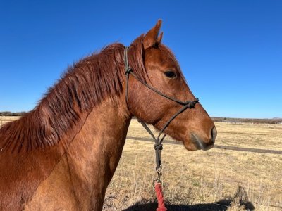 IMG_7166.jpeg IMG_7166.jpeg