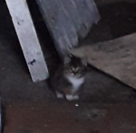 Screen Shot 2019-11-24 at 19.13.06.png