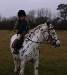 IMG_20161231_130108-2.jpg IMG_20161231_130108-2.jpg