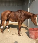 6CCA77DC-2F1F-4EE2-93E4-CEEAD9747230.jpeg 6CCA77DC-2F1F-4EE2-93E4-CEEAD9747230.jpeg