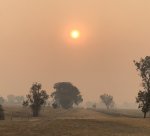 326F28A9-F716-45CD-8AAA-6E190E4E432E.jpeg 326F28A9-F716-45CD-8AAA-6E190E4E432E.jpeg