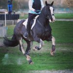 IMG_7648.JPG IMG_7648.JPG