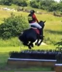 fullsizeoutput_1f6c.jpeg fullsizeoutput_1f6c.jpeg