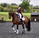 70207CE6-1EE0-4AC5-99D9-795FE8548BC4.jpeg 70207CE6-1EE0-4AC5-99D9-795FE8548BC4.jpeg