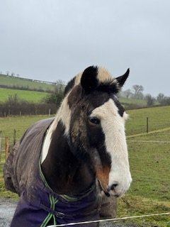 IMG_7762.jpeg IMG_7762.jpeg