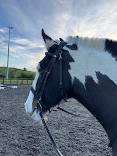 IMG_7576.jpeg IMG_7576.jpeg