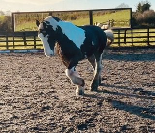 IMG_7080.jpeg IMG_7080.jpeg