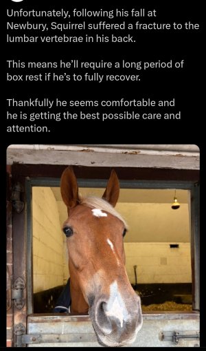 Screenshot_20250227_125728_X.jpg Screenshot_20250227_125728_X.jpg