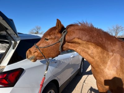 IMG_7190.jpeg IMG_7190.jpeg