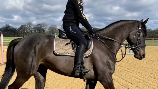 FullSizeRender.jpeg FullSizeRender.jpeg