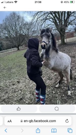 IMG_1250.png IMG_1250.png