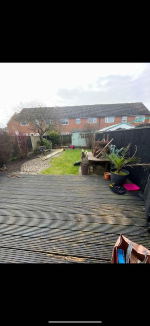 IMG_3998.jpeg IMG_3998.jpeg