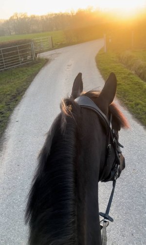 IMG_8163.jpeg IMG_8163.jpeg