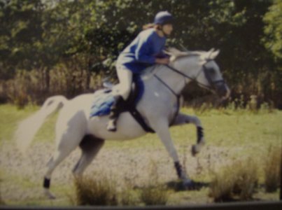 shida crosscountry.jpg