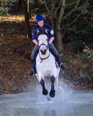 baby dun2.jpg baby dun2.jpg