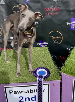 IMG_2956.jpeg IMG_2956.jpeg