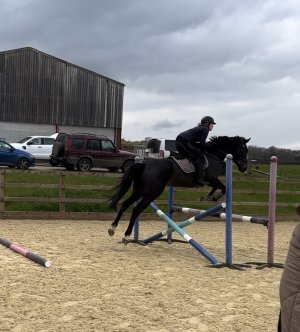 IMG_8213-min 2.jpeg IMG_8213-min 2.jpeg