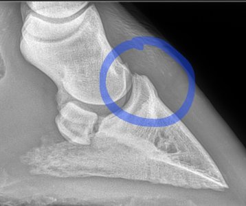 Screenshot_20250313_140119_Chrome.jpg Screenshot_20250313_140119_Chrome.jpg