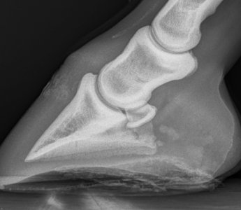 Screenshot_20250313_140957_Photos.jpg Screenshot_20250313_140957_Photos.jpg