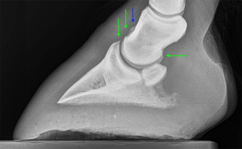 1741884929312.png 1741884929312.png