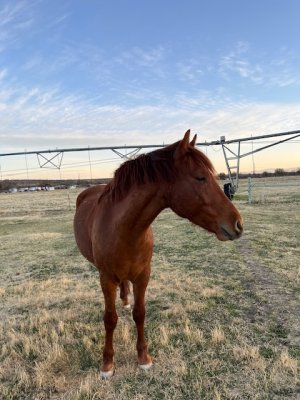 IMG_7564.jpeg IMG_7564.jpeg