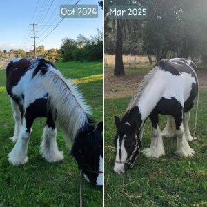 1000023087.jpg 1000023087.jpg