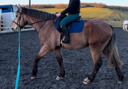 1742027971931.png 1742027971931.png