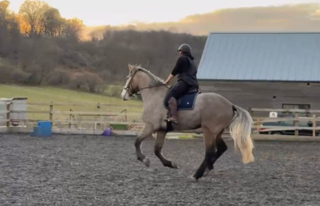 1742028128940.png 1742028128940.png