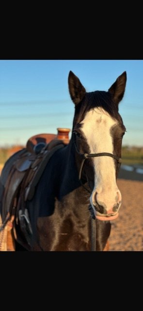 A37D529C-FE6F-444E-BCDB-73EBB6F48C32.jpeg A37D529C-FE6F-444E-BCDB-73EBB6F48C32.jpeg