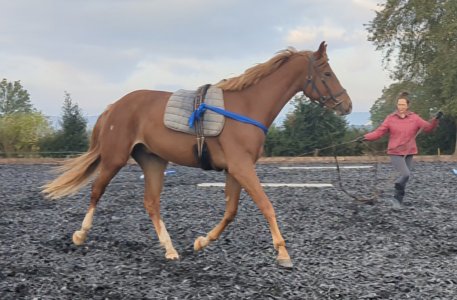 PXL_20241005_074014133.TS_exported_16439_1728116381244~2.jpg PXL_20241005_074014133.TS_exported_16439_1728116381244~2.jpg