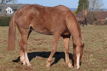 PXL_20250301_110528663.TS_exported_36147.jpg PXL_20250301_110528663.TS_exported_36147.jpg