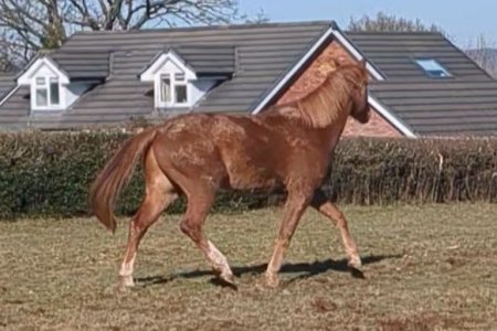 PXL_20250301_110528663.TS_exported_5214.jpg PXL_20250301_110528663.TS_exported_5214.jpg