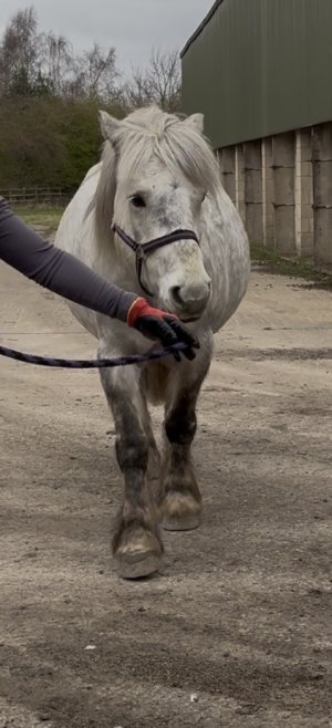 IMG_4771.jpeg IMG_4771.jpeg