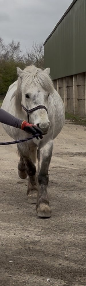 IMG_4772.jpeg IMG_4772.jpeg