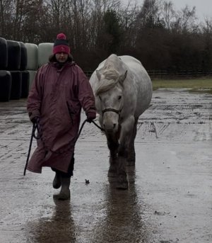 IMG_4777.jpeg IMG_4777.jpeg