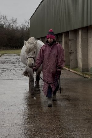 IMG_4774.jpeg IMG_4774.jpeg