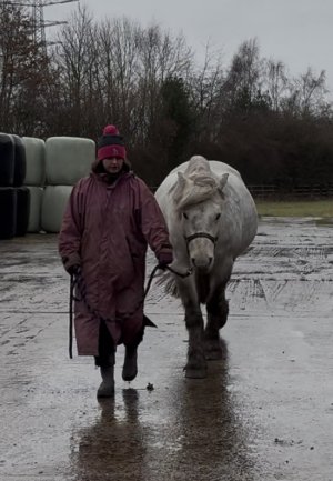 IMG_4778.jpeg IMG_4778.jpeg