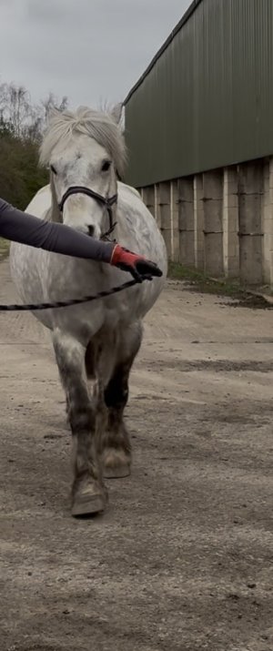 IMG_4767.jpeg IMG_4767.jpeg