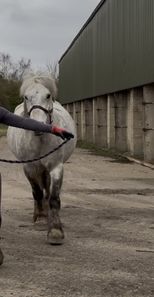 IMG_4766.jpeg IMG_4766.jpeg