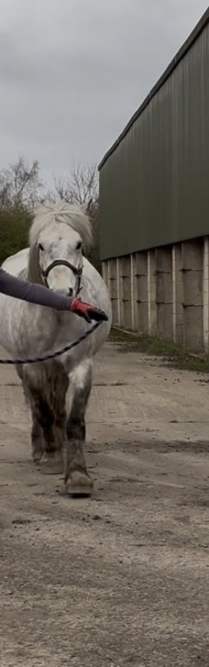 IMG_4764.jpeg IMG_4764.jpeg