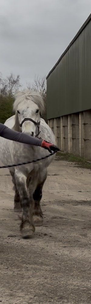 IMG_4765.jpeg IMG_4765.jpeg