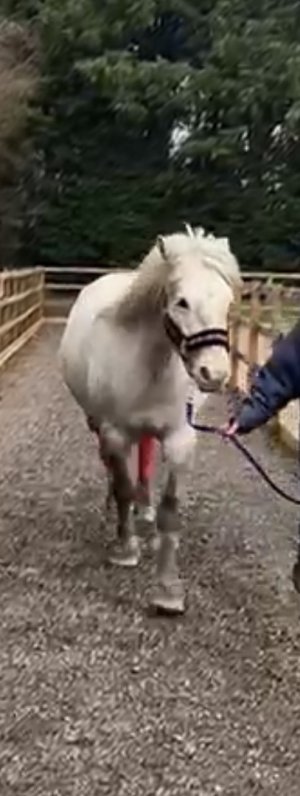 IMG_4780.jpeg IMG_4780.jpeg