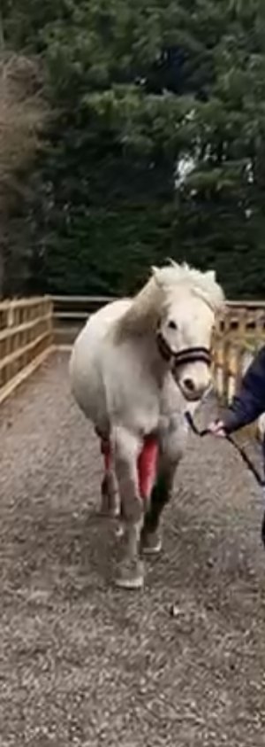 IMG_4782.jpeg IMG_4782.jpeg