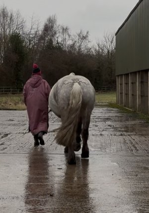 IMG_4773.jpeg IMG_4773.jpeg