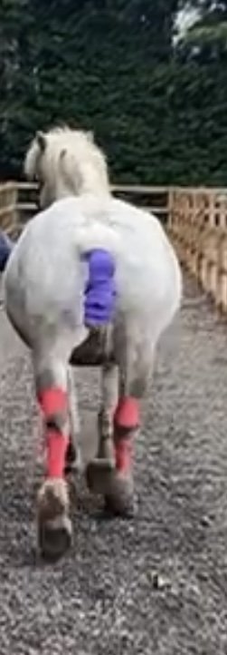 IMG_4779.jpeg IMG_4779.jpeg